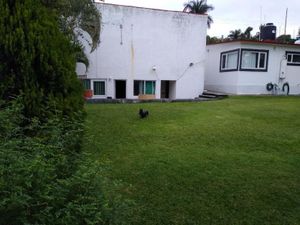 Casa en Venta en Tres de Mayo Emiliano Zapata