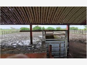 Finca/Rancho en Venta en Ciudad Olmeca Coatzacoalcos