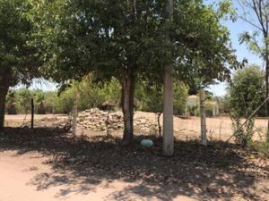 Terreno en Venta en San Pedro Navolato