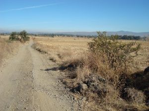 Terreno en Venta en El Rodeo Ixtlahuacán de los Membrillos