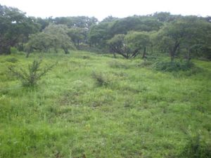 Terreno en Venta en Juanacatlan Centro Juanacatlán