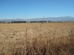 Terreno en Venta en El Rodeo Ixtlahuacán de los Membrillos