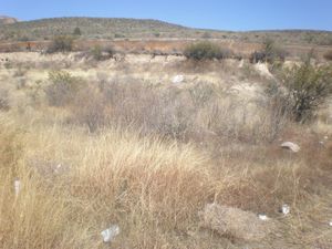 Terreno en Venta en Silao Centro Silao de la Victoria