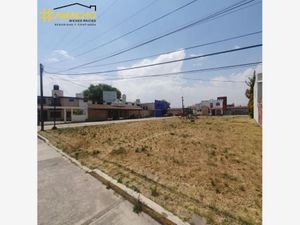 Terreno en Venta en Arroyo Vista Hermosa Toluca