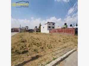 Terreno en Venta en Arroyo Vista Hermosa Toluca