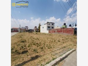 Terreno en Venta en Vista Hermosa Toluca