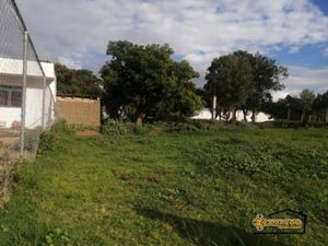 Terreno en Venta en San Rafael Comac San Andrés Cholula