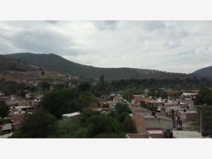 Terreno en Venta en Tlajomulco Centro Tlajomulco de Zúñiga