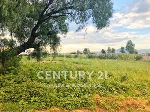 Terreno en Venta en San Miguel Tlaixpan Texcoco