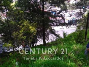 Terreno en Renta en Lomas de La Era Álvaro Obregón