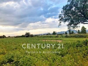 Terreno en Venta en San Miguel Tlaixpan Texcoco