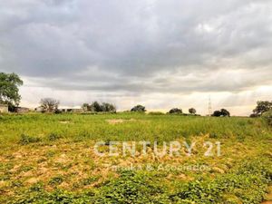 Terreno en Venta en San Miguel Tlaixpan Texcoco