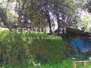 Terreno en Renta en Lomas de La Era Álvaro Obregón