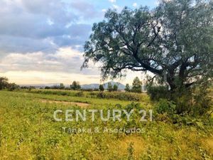 Terreno en Venta en San Miguel Tlaixpan Texcoco