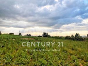 Terreno en Venta en San Miguel Tlaixpan Texcoco