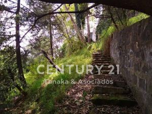 Terreno en Renta en Lomas de La Era Álvaro Obregón