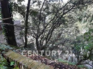 Terreno en Renta en Lomas de La Era Álvaro Obregón