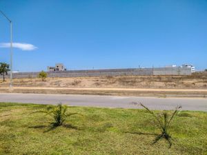 Terreno en Renta en Marina Mazatlan Mazatlán