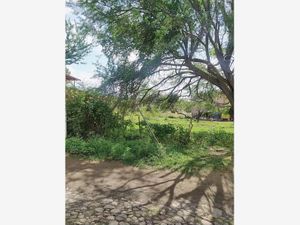 Terreno en Venta en San Nicolás de Ibarra Chapala