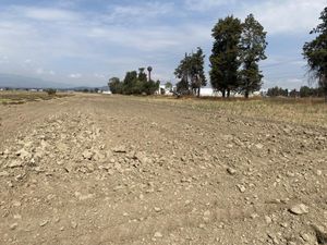 Terreno en Venta en Santa Maria Moyotzingo San Martín Texmelucan