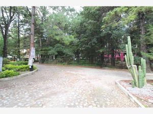 Terreno en Venta en Bosque de Cuauhyocan Amozoc