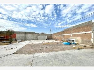 Terreno en Venta en Mieleras Torreón