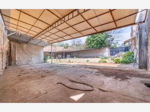 Terreno en Venta en San Miguel de la Punta Tonalá