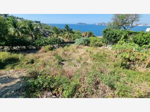 Terreno en Venta en Playa Guitarrón Acapulco de Juárez