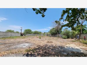 Terreno en Venta en La Poza Acapulco de Juárez