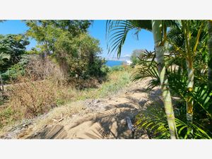 Terreno en Venta en Playa Guitarrón Acapulco de Juárez