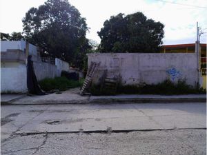 Terreno en Renta en Hidalgo Oriente Ciudad Madero