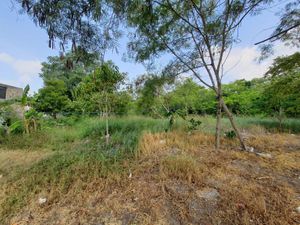 Terreno en Venta en Las Marismas Altamira