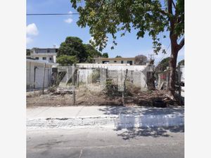 Terreno en Renta en Unidad Modelo Tampico