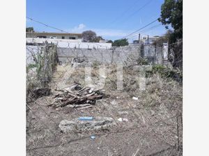 Terreno en Renta en Unidad Modelo Tampico