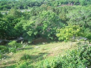 Terreno en Venta en Punta de Mita Bahía de Banderas