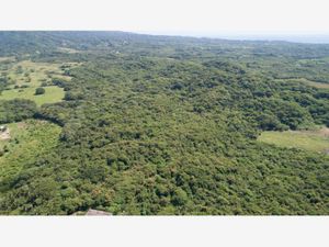 Terreno en Venta en Higuera Blanca Bahía de Banderas