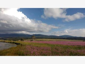 Terreno en Venta en Jacal de la Piedad Amealco de Bonfil