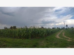 Terreno en Venta en Jacal de la Piedad Amealco de Bonfil