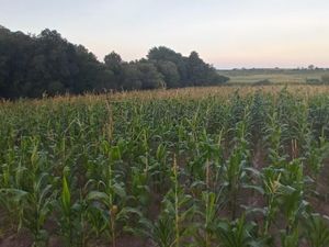 Terreno en Venta en Los Arenales (San Juan Dehedó) Amealco de Bonfil