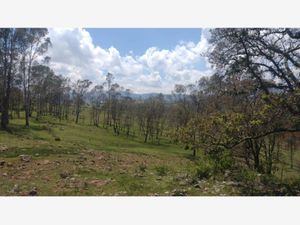 Terreno en Venta en Loma Linda Amealco de Bonfil