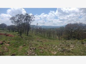 Terreno en Venta en Loma Linda Amealco de Bonfil