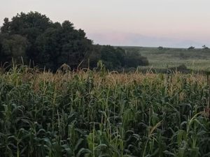 Terreno en Venta en Los Arenales (San Juan Dehedó) Amealco de Bonfil