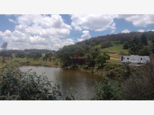 Terreno en Venta en Loma Linda Amealco de Bonfil