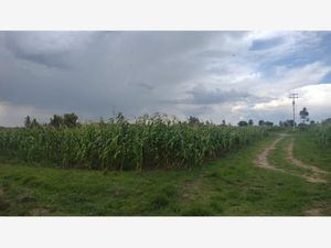 Terreno en Venta en Jacal de la Piedad Amealco de Bonfil