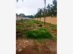 Terreno en Venta en La Haciendita Amealco de Bonfil