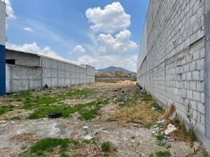 Terreno en Renta en Amealco de Bonfil Centro Amealco de Bonfil