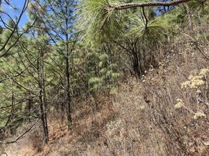 Terreno en Venta en Chitejé de la Cruz Amealco de Bonfil