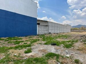 Terreno en Renta en Amealco de Bonfil Centro Amealco de Bonfil