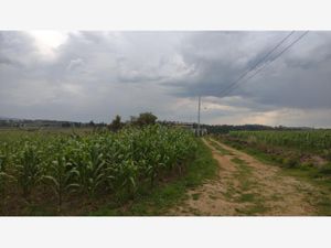 Terreno en Venta en Jacal de la Piedad Amealco de Bonfil