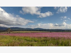 Terreno en Venta en Jacal de la Piedad Amealco de Bonfil